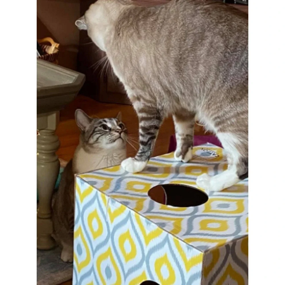 Meow Yellow Cat House with Scratcher, Cat Condo, Cardboard Cat‎ Playhouse